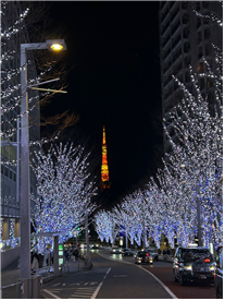 external_image