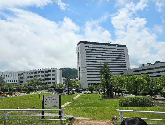 external_image