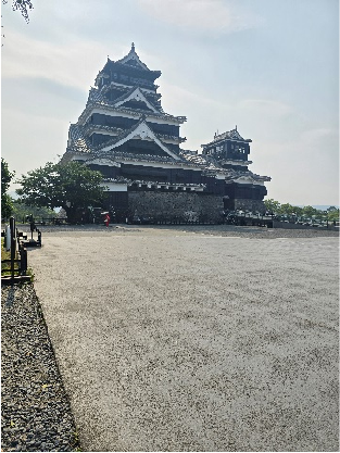 external_image